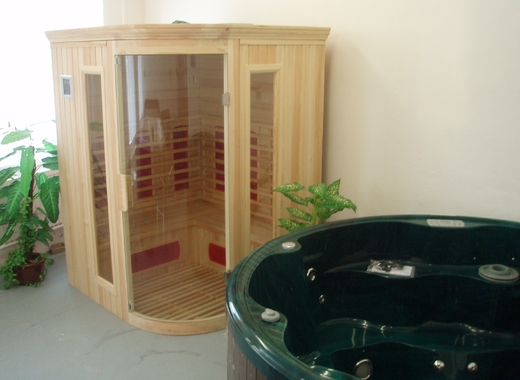 sauna infra.JPG
